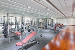 pulizia tatami impresa pulizia palestre